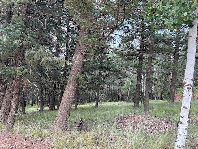 Listing photo 2 for 270 Southpark Rd, Florissant CO 80816