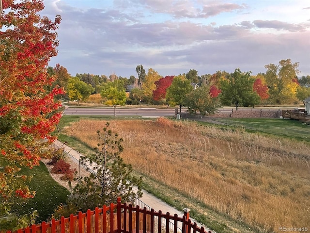 view of yard with a rural view