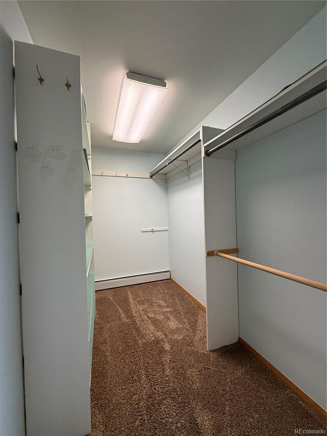 507 Berkeley Ave, Alamosa, CO 81101 - photo 13