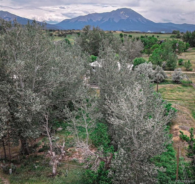 300 E Virginia St, La Veta, CO 81055