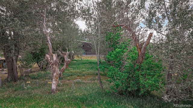 300 E Virginia St, La Veta, CO 81055