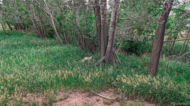 300 E Virginia St, La Veta, CO 81055
