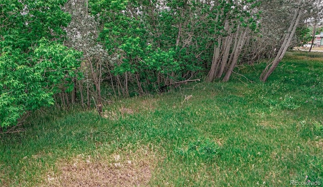 300 E Virginia St, La Veta, CO 81055