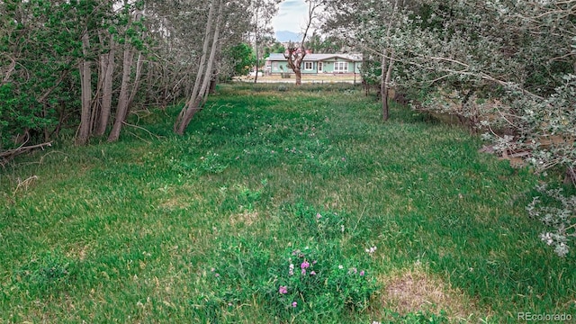 300 E Virginia St, La Veta, CO 81055