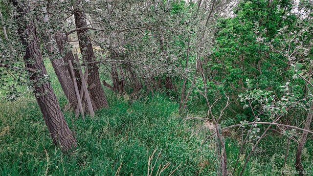 300 E Virginia St, La Veta, CO 81055