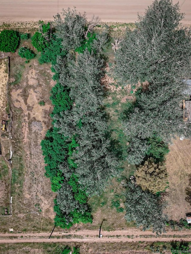 300 E Virginia St, La Veta, CO 81055