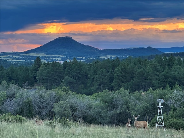 view of mountain feature with a wooded view