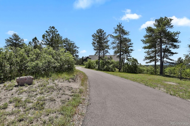 5800 Elk View Ct, Larkspur, CO 80118 - view of asphalt road