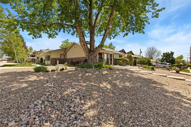 9598 Lowell Blvd, Westminster, CO 80031 - view of front facade with stucco siding and brick siding