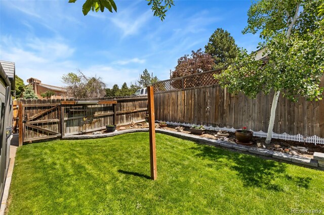 9598 Lowell Blvd, Westminster, CO 80031 - view of yard