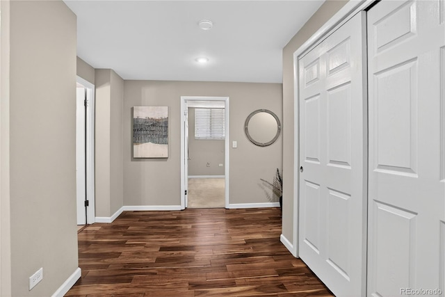 909 N Logan St Unit 1B, Denver, CO 80203 - hall with dark wood-type flooring and recessed lighting
