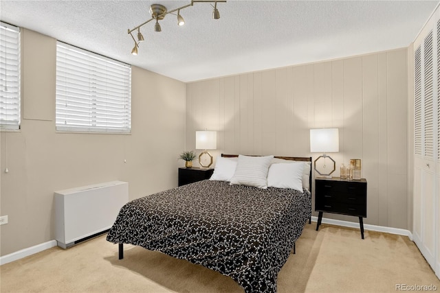 909 N Logan St Unit 1B, Denver, CO 80203 - bedroom featuring light carpet, radiator heating unit, multiple windows, a closet, and a textured ceiling