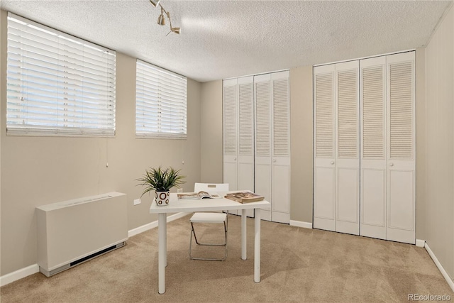 909 N Logan St Unit 1B, Denver, CO 80203 - unfurnished office with light carpet, a textured ceiling, and radiator