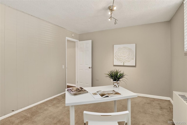 909 N Logan St Unit 1B, Denver, CO 80203 - office area featuring light colored carpet and a textured ceiling