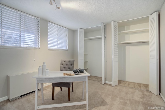 909 N Logan St Unit 1B, Denver, CO 80203 - photo 19