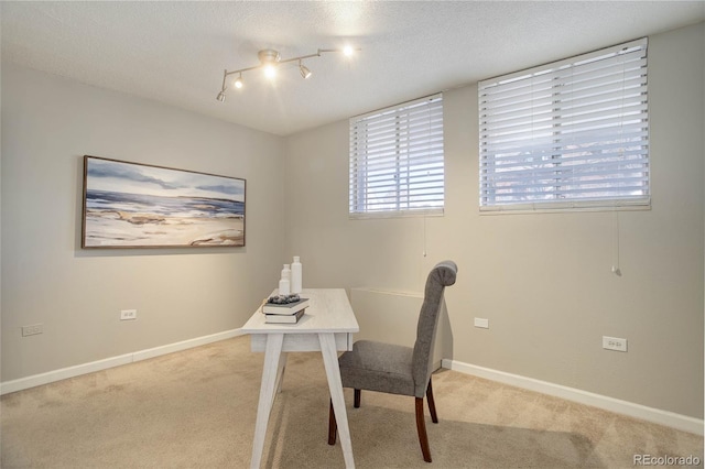 909 N Logan St Unit 1B, Denver, CO 80203 - photo 20