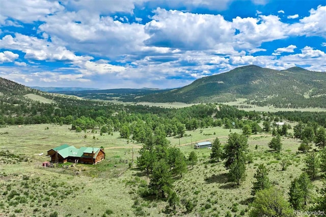 660 Wagon Wheel Rd, Guffey, CO 80820 - view of mountain backdrop with rural landscape and a heavily wooded area