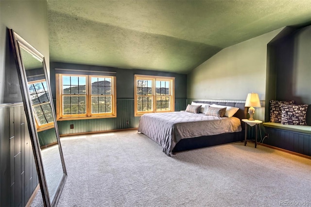 660 Wagon Wheel Rd, Guffey, CO 80820 - bedroom with lofted ceiling, wainscoting, carpet flooring, and a textured ceiling