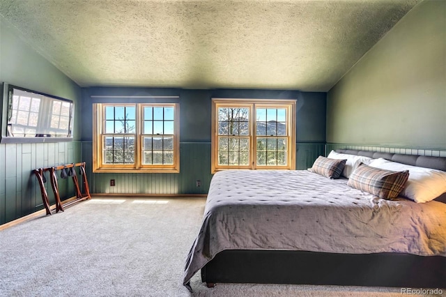 660 Wagon Wheel Rd, Guffey, CO 80820 - carpeted bedroom featuring lofted ceiling, a textured ceiling, wainscoting, and wooden walls