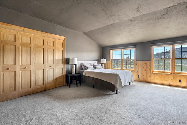 660 Wagon Wheel Rd, Guffey, CO 80820 - bedroom with carpet, vaulted ceiling, wainscoting, and wood walls