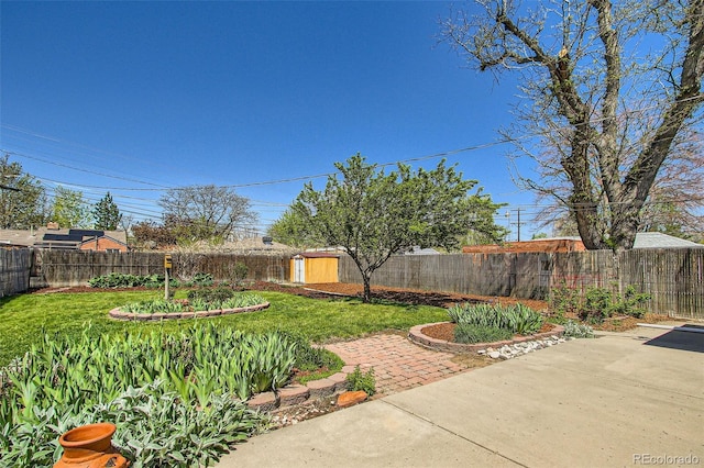 5703 Ammons St, Arvada, CO 80002 - view of yard with a patio area, a shed, and an outdoor structure