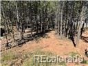 1394 Millstone Ln, Woodland Park CO, 80863 land for sale