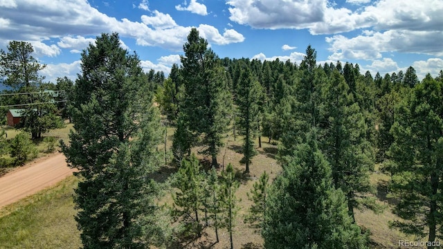 Listing photo 3 for 69 Nimbus Ln, Florissant CO 80816