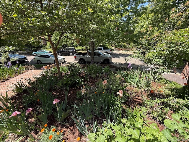 724 N Franklin St, Denver, CO 80218 - view of yard