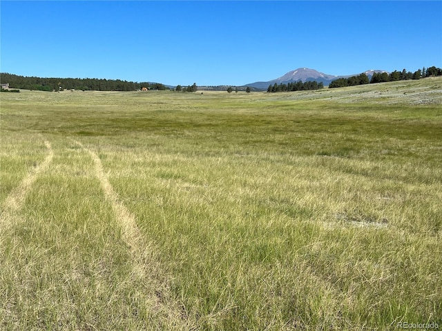 4 Ranch Rd, Hartsel, CO 80449