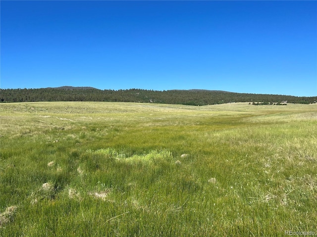 4 Ranch Rd, Hartsel, CO 80449