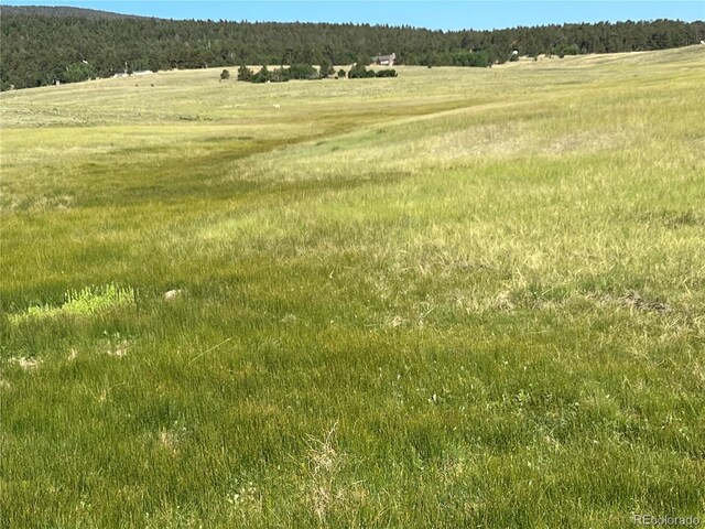 4 Ranch Rd, Hartsel, CO 80449