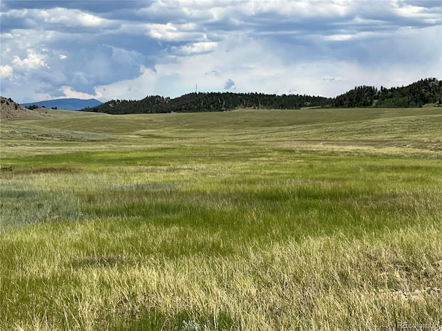 4 Ranch Rd, Hartsel, CO 80449