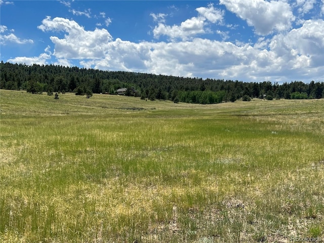 4 Ranch Rd, Hartsel, CO 80449