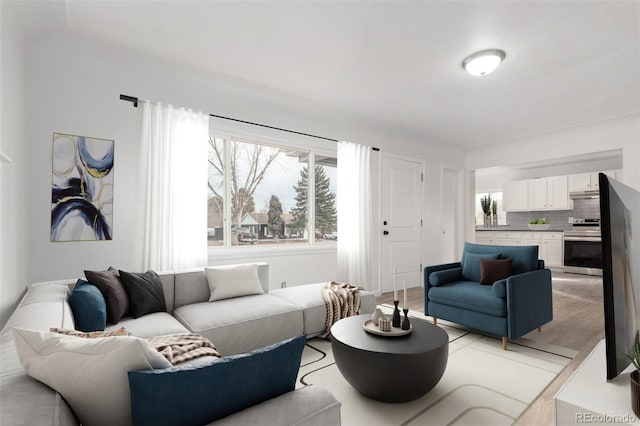 living room with light hardwood / wood-style floors