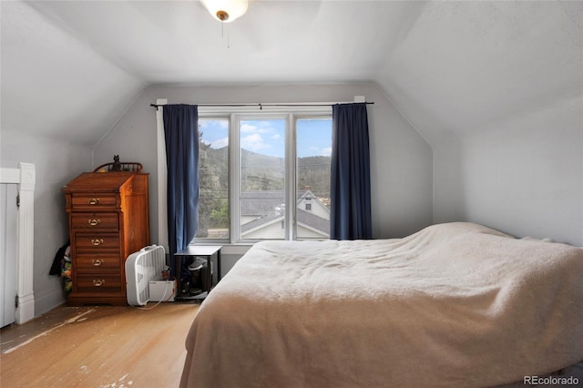 902 Virginia St, Idaho Springs, CO 80452 - photo 16