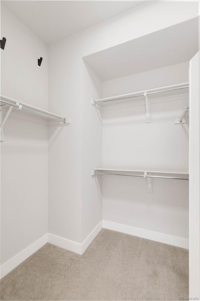 walk in closet featuring carpet floors