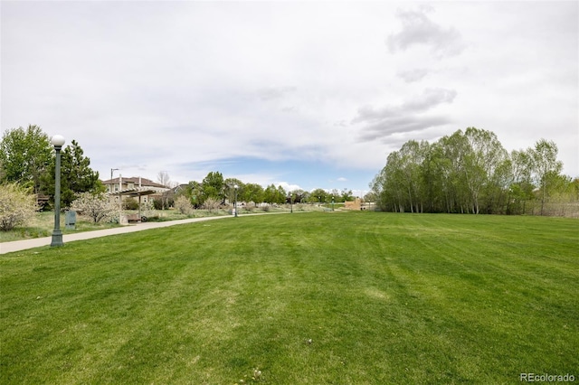 view of community featuring a yard