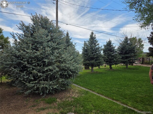 1537 Willow St, Canon City, CO 81212 - photo 5