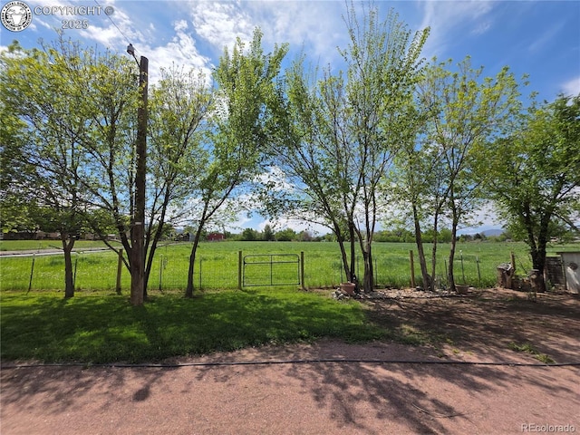 1537 Willow St, Canon City, CO 81212 - photo 30