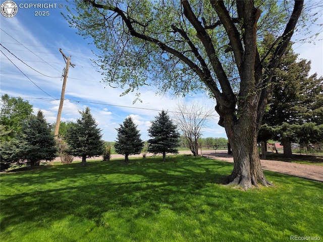 1537 Willow St, Canon City, CO 81212 - photo 43