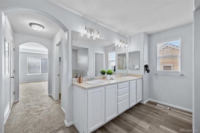bathroom featuring a sink, visible vents, baseboards, and double vanity