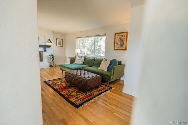 living room with baseboards and light wood-style floors