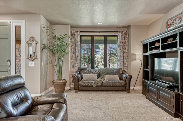 1410 Old Sequoia Ct, Franktown, CO 80116 - carpeted living area with a textured ceiling and baseboards