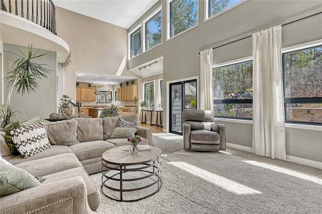 1410 Old Sequoia Ct, Franktown, CO 80116 - living area featuring plenty of natural light, a high ceiling, baseboards, and light colored carpet