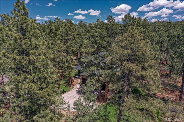 1410 Old Sequoia Ct, Franktown, CO 80116 - aerial view of a forest