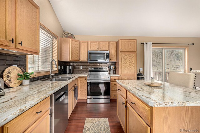 2418 Wells Fargo Cir, Jefferson, CO 80456 - kitchen featuring stainless steel appliances, a sink, lofted ceiling, plenty of natural light, and backsplash