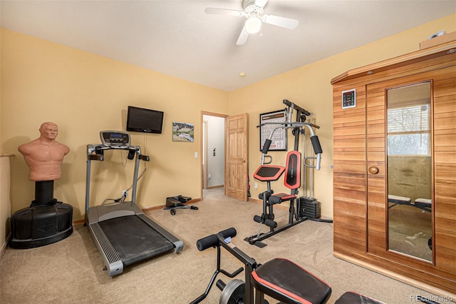 2418 Wells Fargo Cir, Jefferson, CO 80456 - exercise area with ceiling fan, carpet, and baseboards