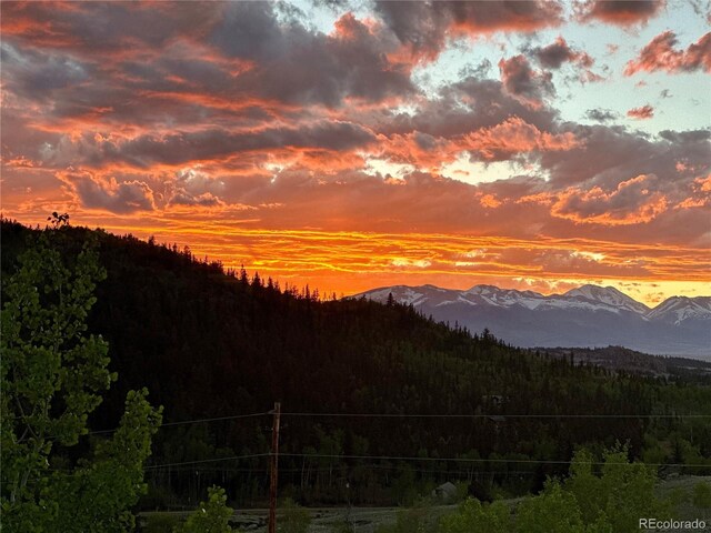 2418 Wells Fargo Cir, Jefferson, CO 80456 - mountain view featuring a forest