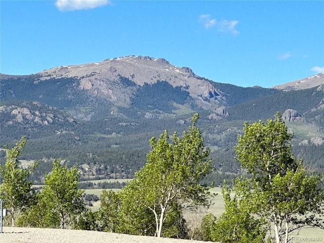 2418 Wells Fargo Cir, Jefferson, CO 80456 - view of mountain background