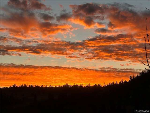 2418 Wells Fargo Cir, Jefferson, CO 80456 - view of nature at dusk